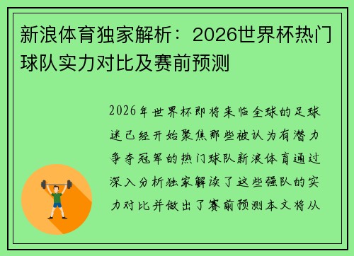新浪体育独家解析：2026世界杯热门球队实力对比及赛前预测